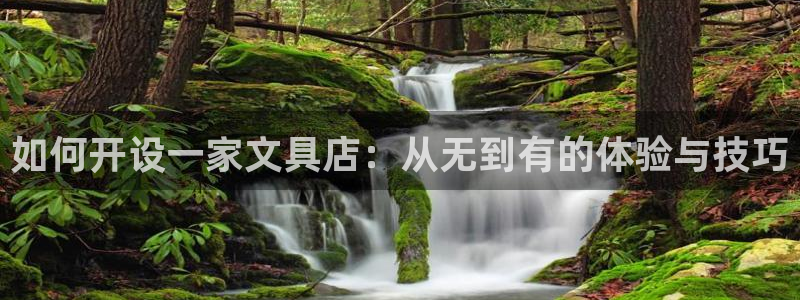 九游會黑款：如何開設一家文具店：從無到有