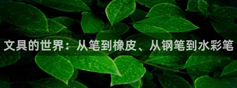 九游游樂(lè)會(huì)：文具的世界：從筆到橡皮、從鋼