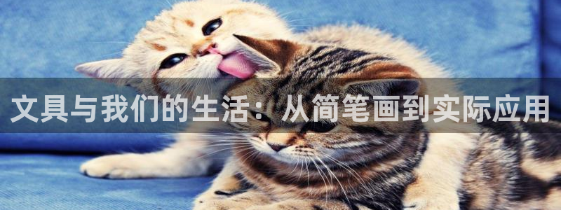 九游會(huì)官網(wǎng)：文具與我們的生活：從簡(jiǎn)筆畫(huà)到