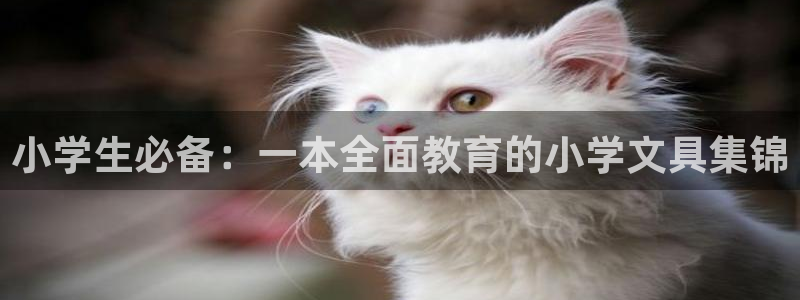 九游會手機app：小學生必備：一本全面教