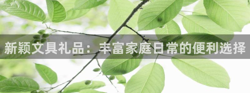 九游會(huì)人口：新穎文具禮品：豐富家庭日常的