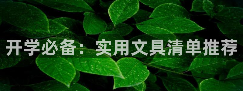 九游會數(shù)字貨幣平臺：開學(xué)必備：實用文具清