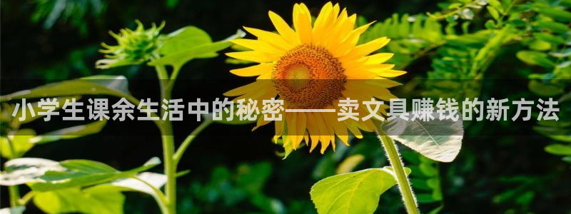九游會國際集團(tuán)：小學(xué)生課余生活中的秘密—